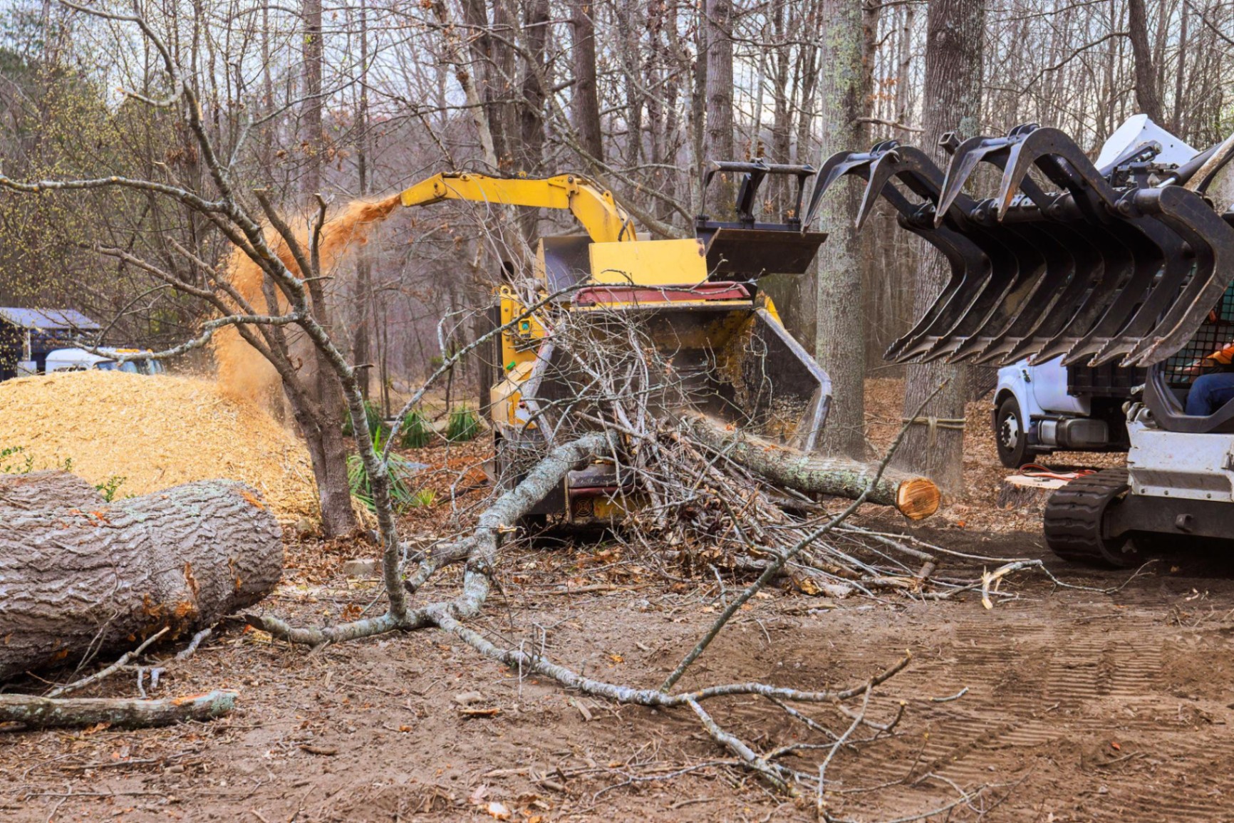 Land Clearing